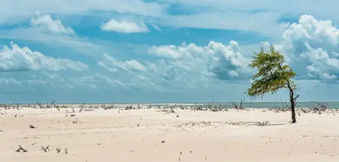Front Beach (2)