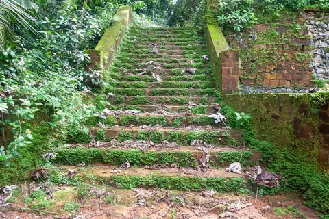 Steps