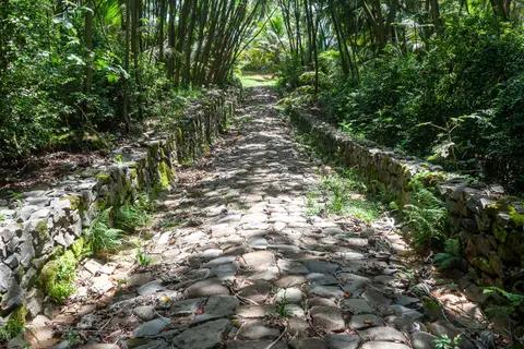 Stone Path