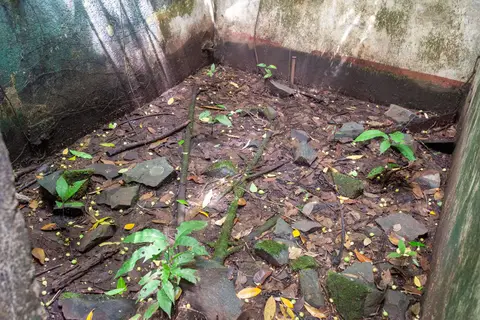 A Prison Cell