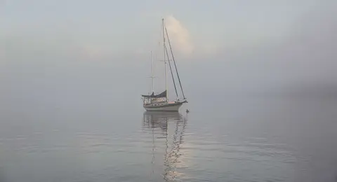 Misty Morning
