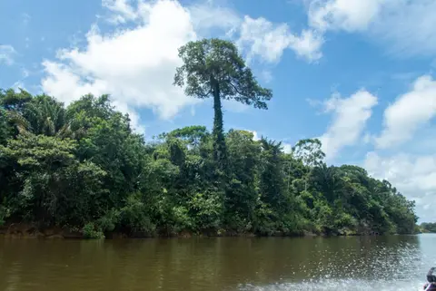 River and jungle.. Except where there is a village, the bush meets the river with no open spaces.