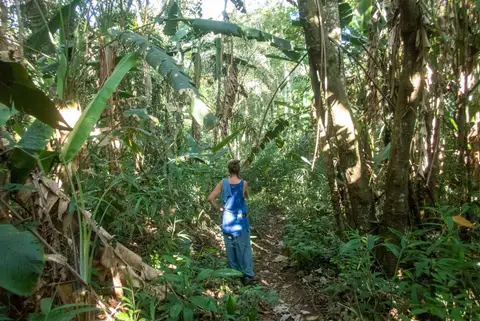 Merel in the Jungle.