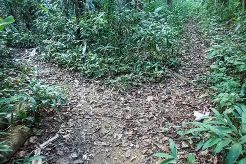 Fork in the Road. It's the track on the left. No! I mean the right, I think... Fortunately our guide knew the way.