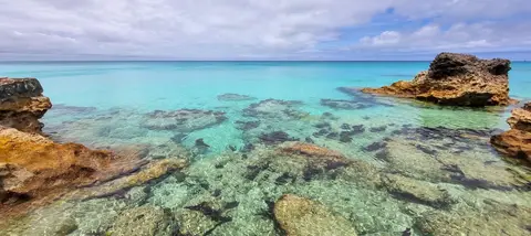 Bermuda Seas. Bermuda