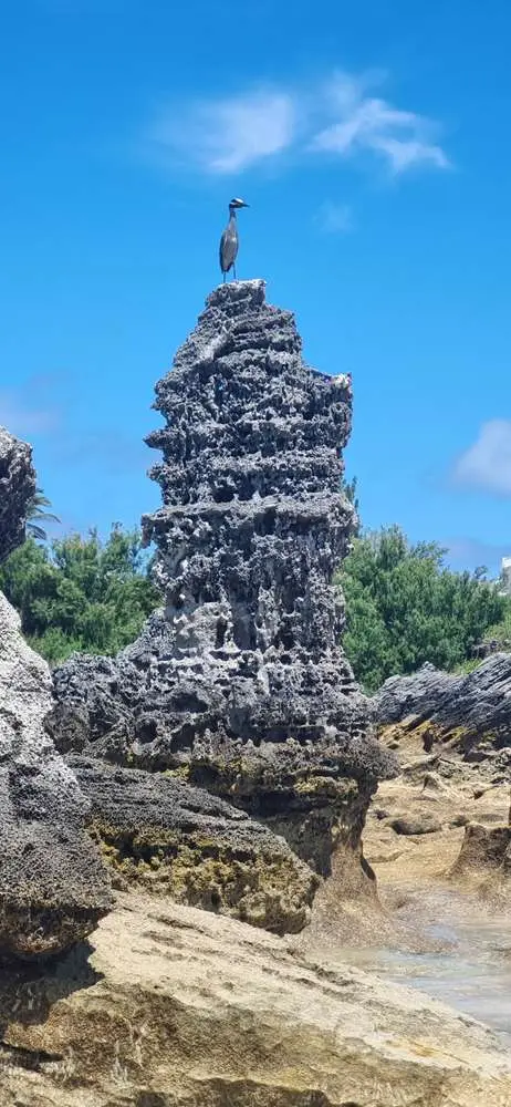 Volcanic Things
