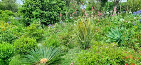 Flower Garden