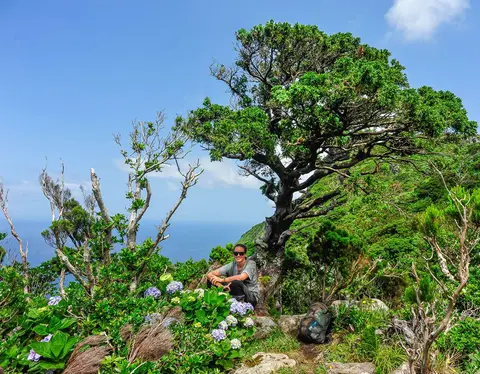On top of the world. A beautiful place for a brief rest after the steep climb.