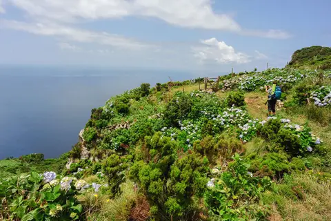 View from the top