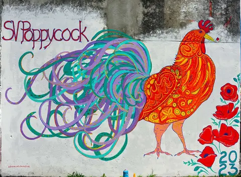 Poppycock. Bre's outstanding grafiti at Horta.
