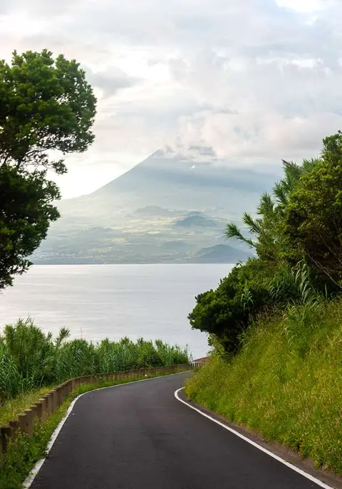 Pico