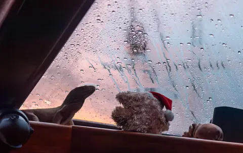 Watching the Raindrops