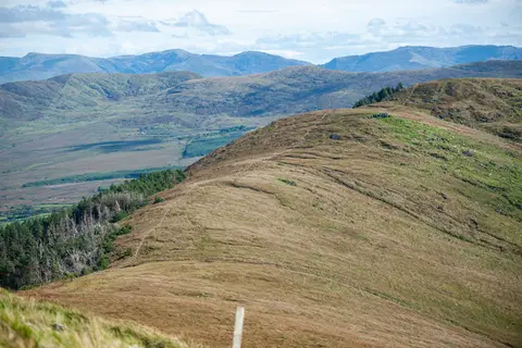 McGillacuddy's Reeks in the Background