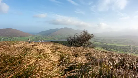 Afternoon Light. Late afternoon light on an Autumn day on the Castlequin Loop walk