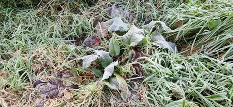 It was a very cold morning