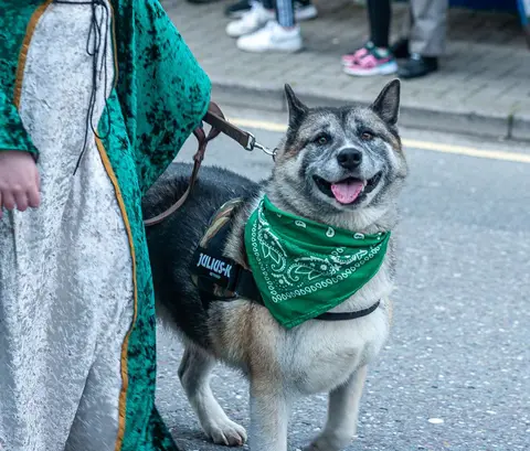 St Patrick's Best Friend