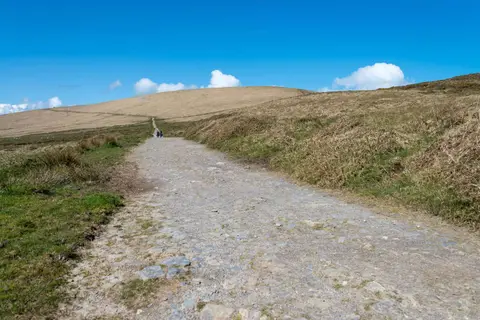 The track to Bray Head Tower. You can just see the tower in the distance.