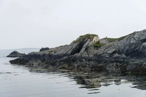 DAG_2371