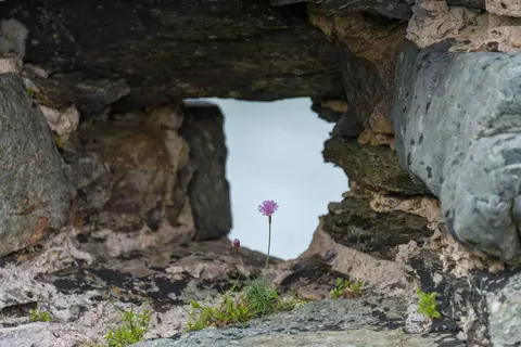 Arrowslit