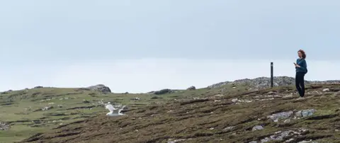 Fellow Walker