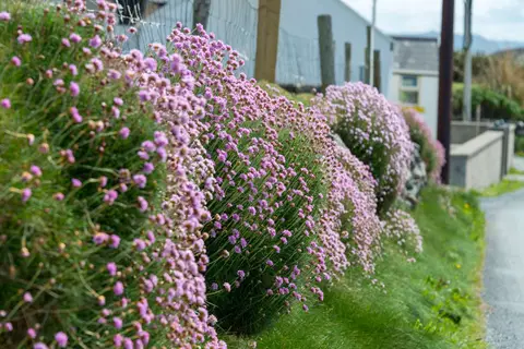 It's Spring!. Maybe even Summer if you squint.