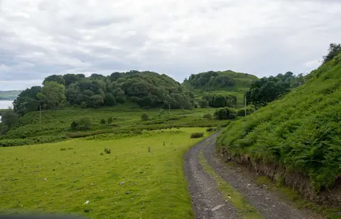 The Road to the Tea House