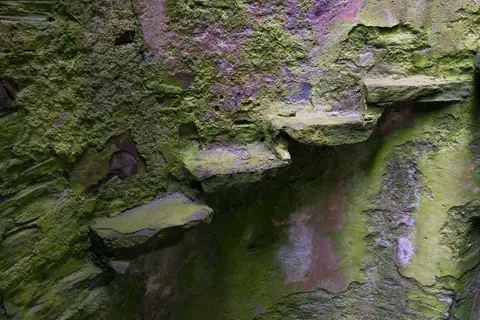 Steps. What's left of the circular staircase in the tower.