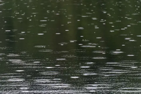 Wet Sunshine