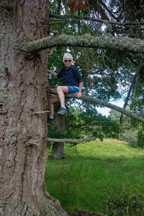 The Faraway Tree