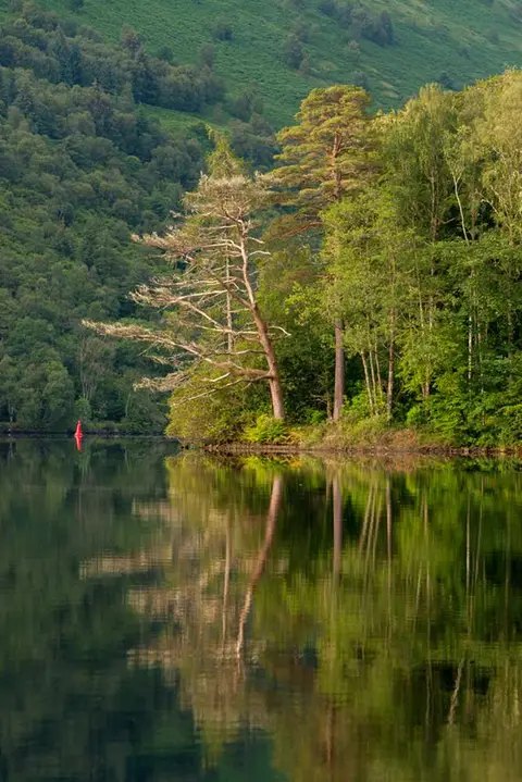 Morning Light in Loch Oich. The light was there for just a moment.