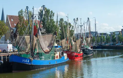 The Fishing Fleet