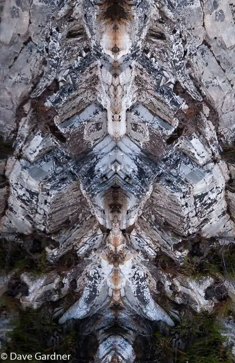 Mind Mangling