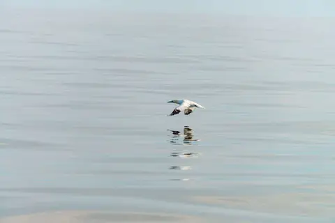 The North Sea