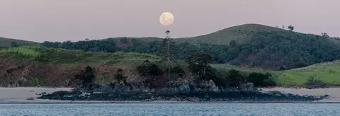 The Queensland Coast