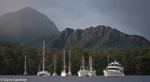 Tiger Snakes and Mountains