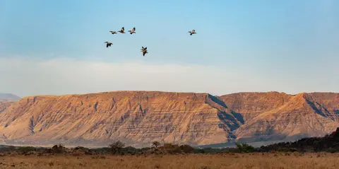 Tripping With the Maasai